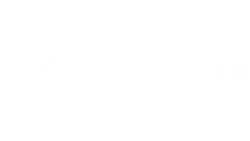 Chuckles Family Fun Center - PCS Website (22).png
